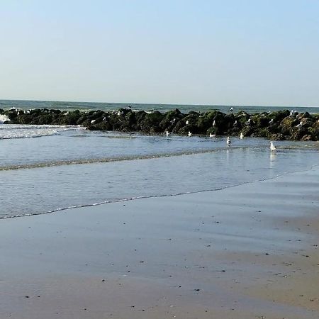 Sunny Bank Westende Zeezicht Middelkerke Eksteriør billede