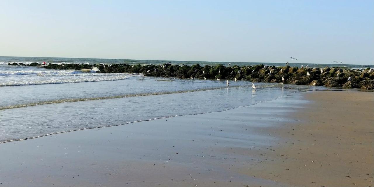 Sunny Bank Westende Zeezicht Middelkerke Eksteriør billede